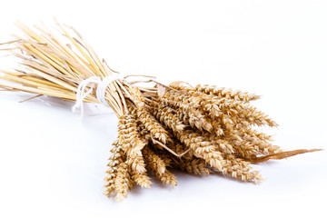 Wheat on a white background.