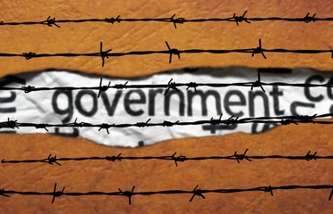 Government