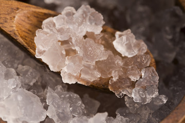 Water kefir grains