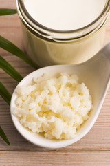 Organic probiotic milk kefir grains