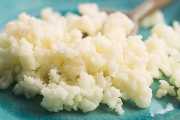 Organic probiotic milk kefir grains