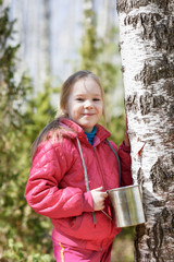 little girl collects birch sap in woods