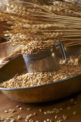 Still life of wheat seeds and on a wooden pin