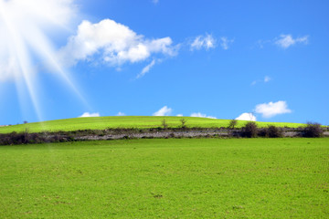 Collina con erba verde e raggi di sole nel cielo blu