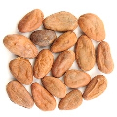 Raw cocoa beans in square shape isolated