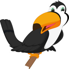 Fototapeta premium cute toucan bird cartoon