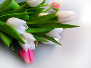 bouquet of tulips in front of spring scene