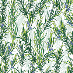 Rosemary herb pattern