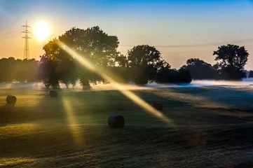 Poster Zons - Sonnenaufgang im Nebel © hanseat