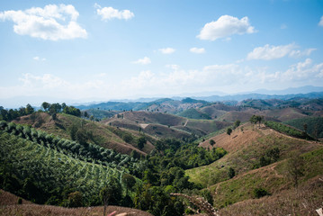 Fototapeta na wymiar Nan mountain landscape, Nan Thailand