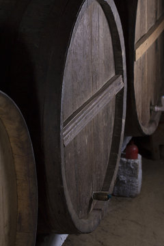 Wine barrels in wine-vaults in order