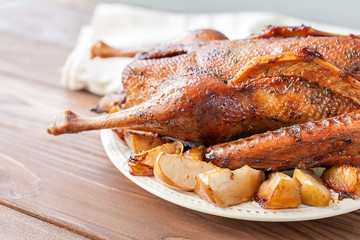 Baked goose with garnish