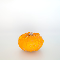 Piccola Zucca Decorativa