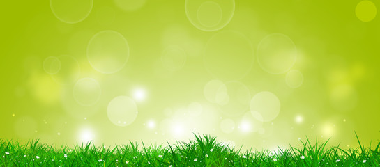 Obraz premium Spring Grass Banner