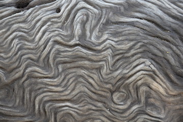 Maserung im Holz