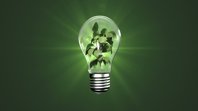 Light bulb with growing plant
