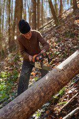 Naklejka premium Old woodcutter at work with chainsaw