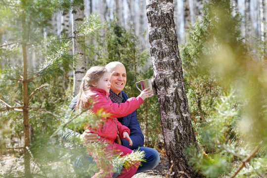 Family In Wood Collecting Birch Sap Mug