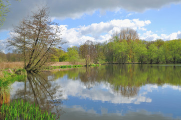 Fototapeta na wymiar der Grosse DeWitt-See im Schwalm-Nette Naturpark