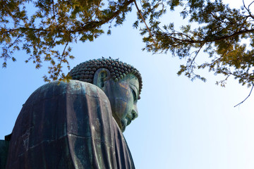 Daibutsu - famous Great Buddha in Kamakura,Japan.