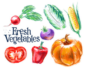 vegetables vector logo design template. fresh food or harvest