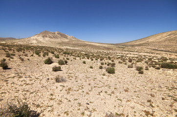 Sand dunes and mountains near Sotavento beach on Jandia peninsul