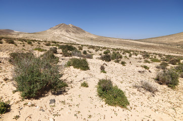 Desert landscape, Fuerteventura, Spain