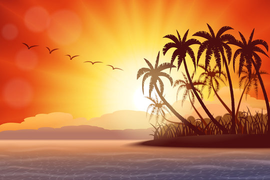 Tropical island with palms at sunset , vector illustration