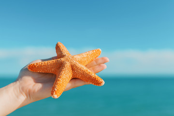 Fototapeta na wymiar female palm holding starfish in front of blue sky and sea