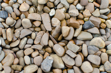 sea pebbles