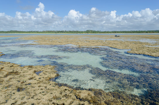 Natural pool in Toque beach, Brazil