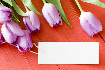 Violet Tulips with paper tag