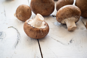 Some Mushrooms at the table.