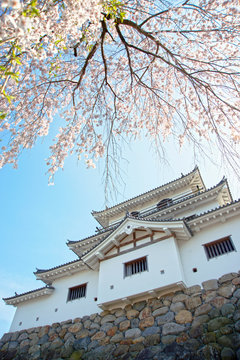 白石城春景色