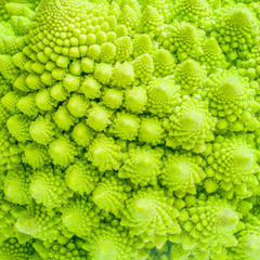 Broccoli close up texture fractal background