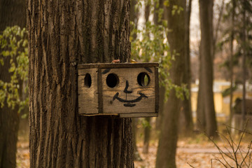 Birdhouse with a cheerful painted face hanging on the tree