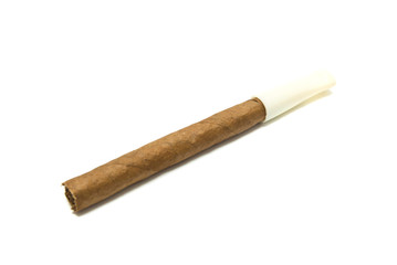 Cigarillo with mouthpiece on white