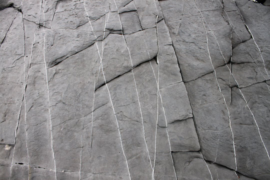 pietra grigia