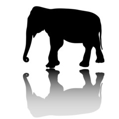 vector elephant silhouette