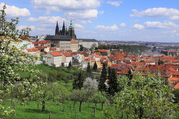 View on the spring Prague with gothic Castle, Czech Republic