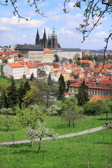 View on the spring Prague with gothic Castle, Czech Republic