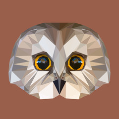 Low poly owl vector - 81581075