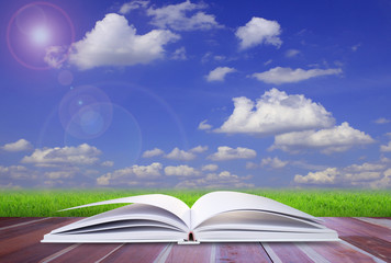 Open book in green grass over blue sky.