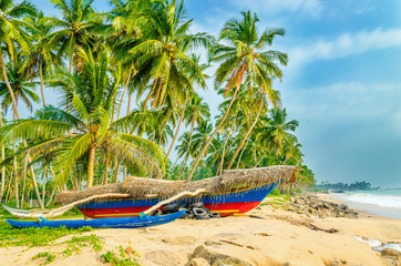 Exotic beach with colorful boat, tall palm trees and azure water