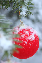 Czerwona bombka © ellaa44