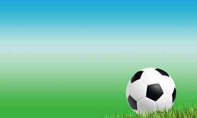 Fototapeta premium Boisko do piłki nożnej