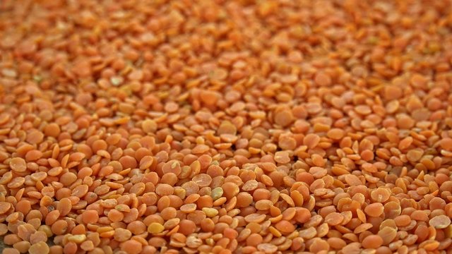 Heap of Red Lentils (not loopable)