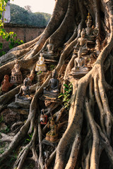 Buddha statue