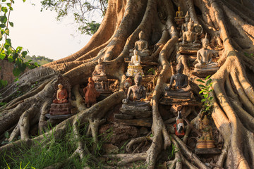 Buddha statue