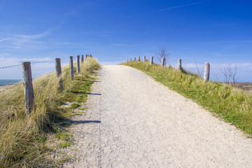 Fototapeta na wymiar Path trough the dunes, Zoutelande, the Netherlands